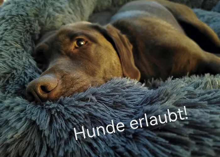 Blockhausen Luxus Chalets